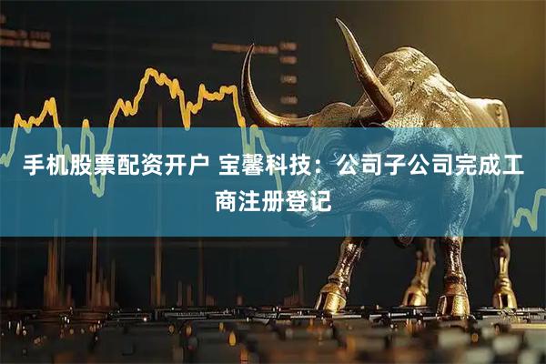 手机股票配资开户 宝馨科技：公司子公司完成工商注册登记